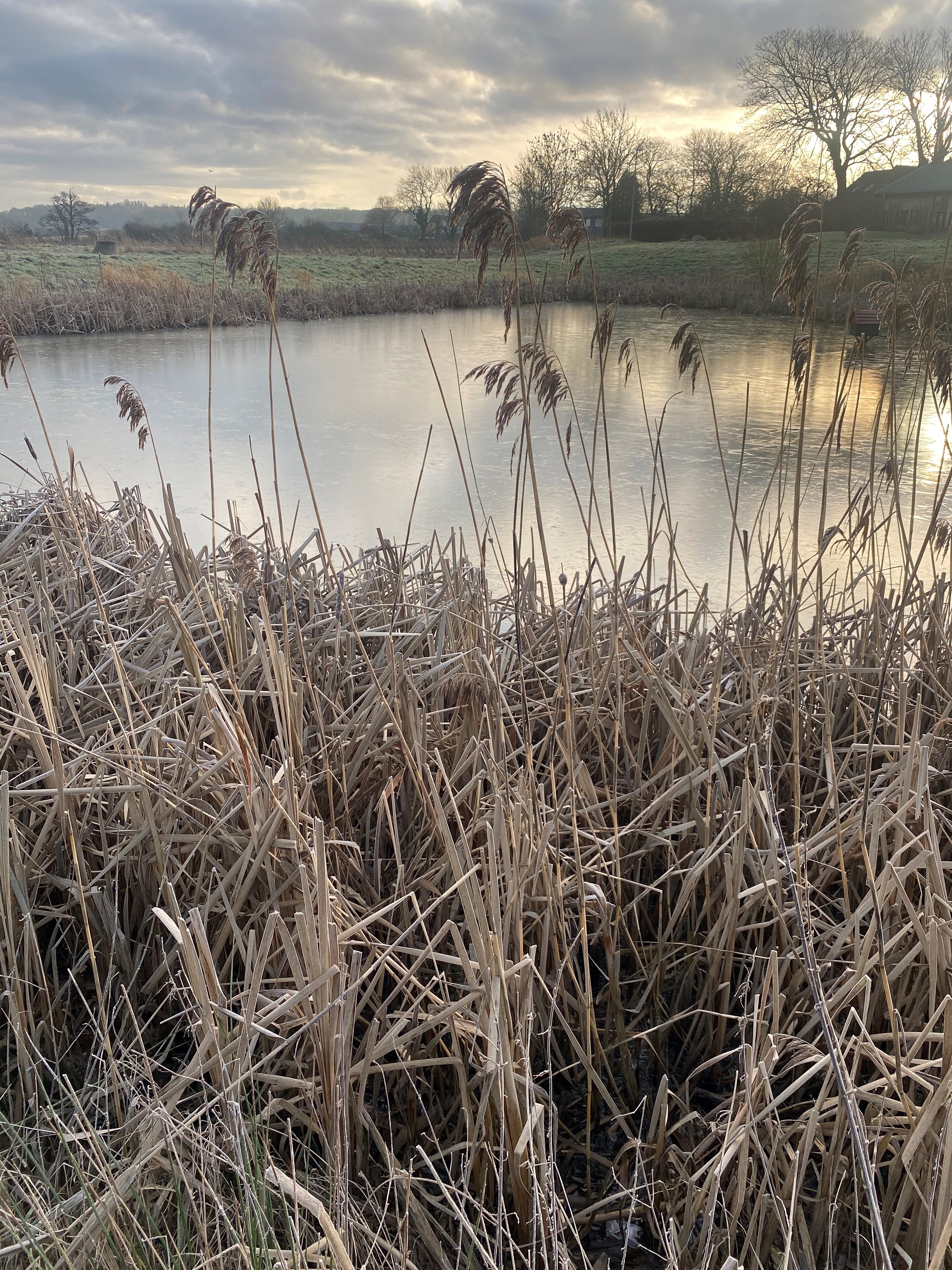 Advarsel om tynd is!