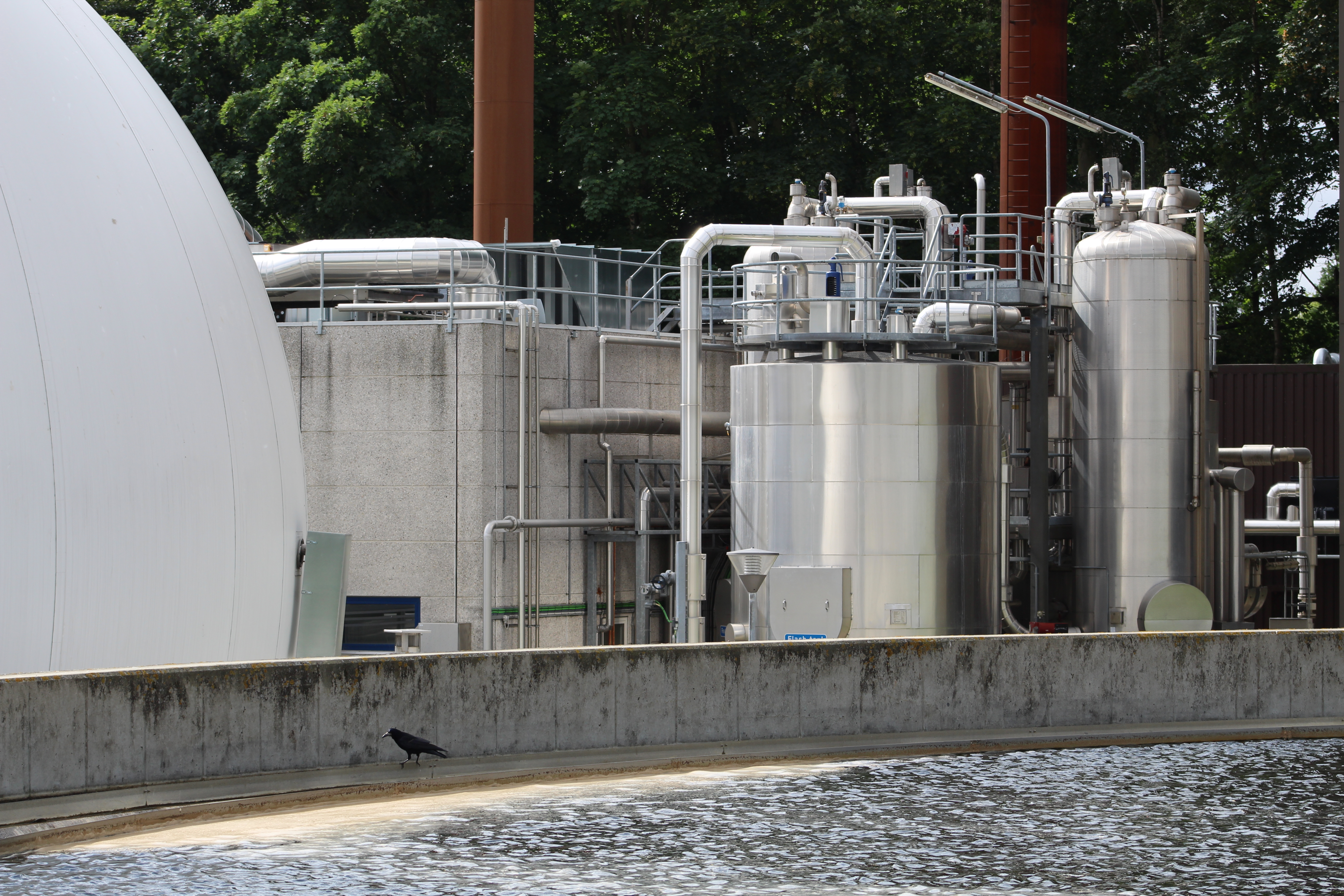 Risiko for lugtgener i løbet af uge 10