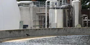 Risiko for lugtgener i løbet af uge 10