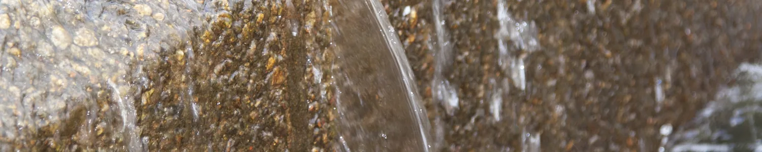 FRSE har fokus på miljøfremmede stoffer