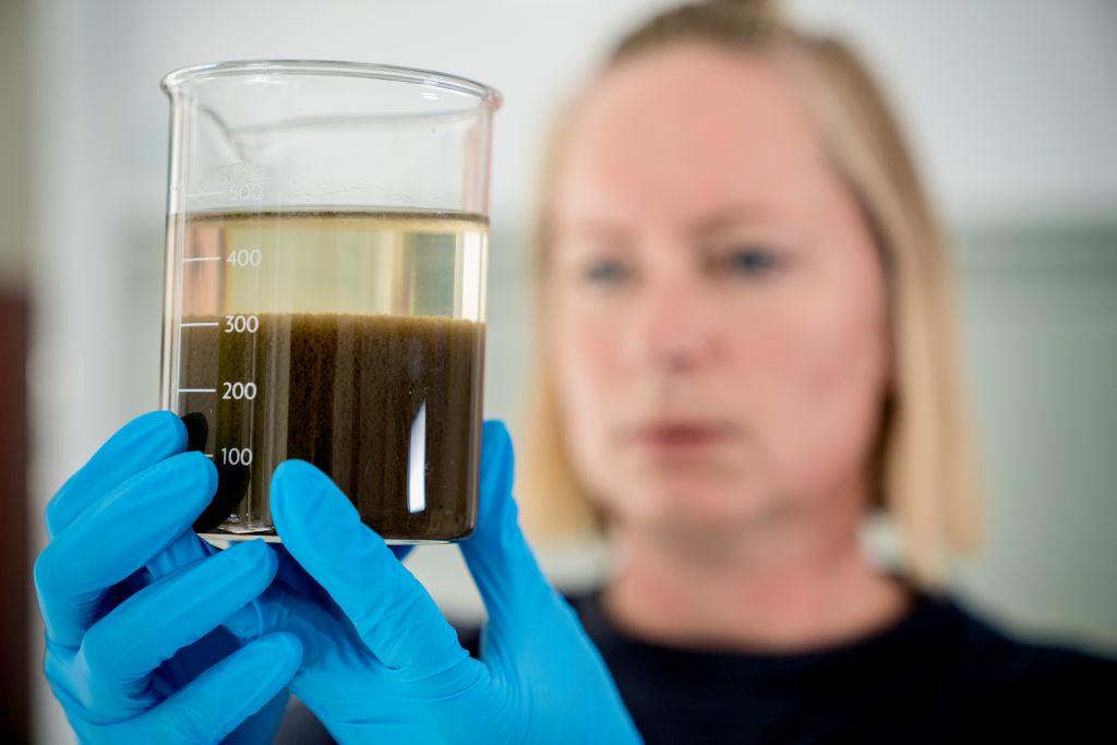 Coronaopsporing i spildevandet