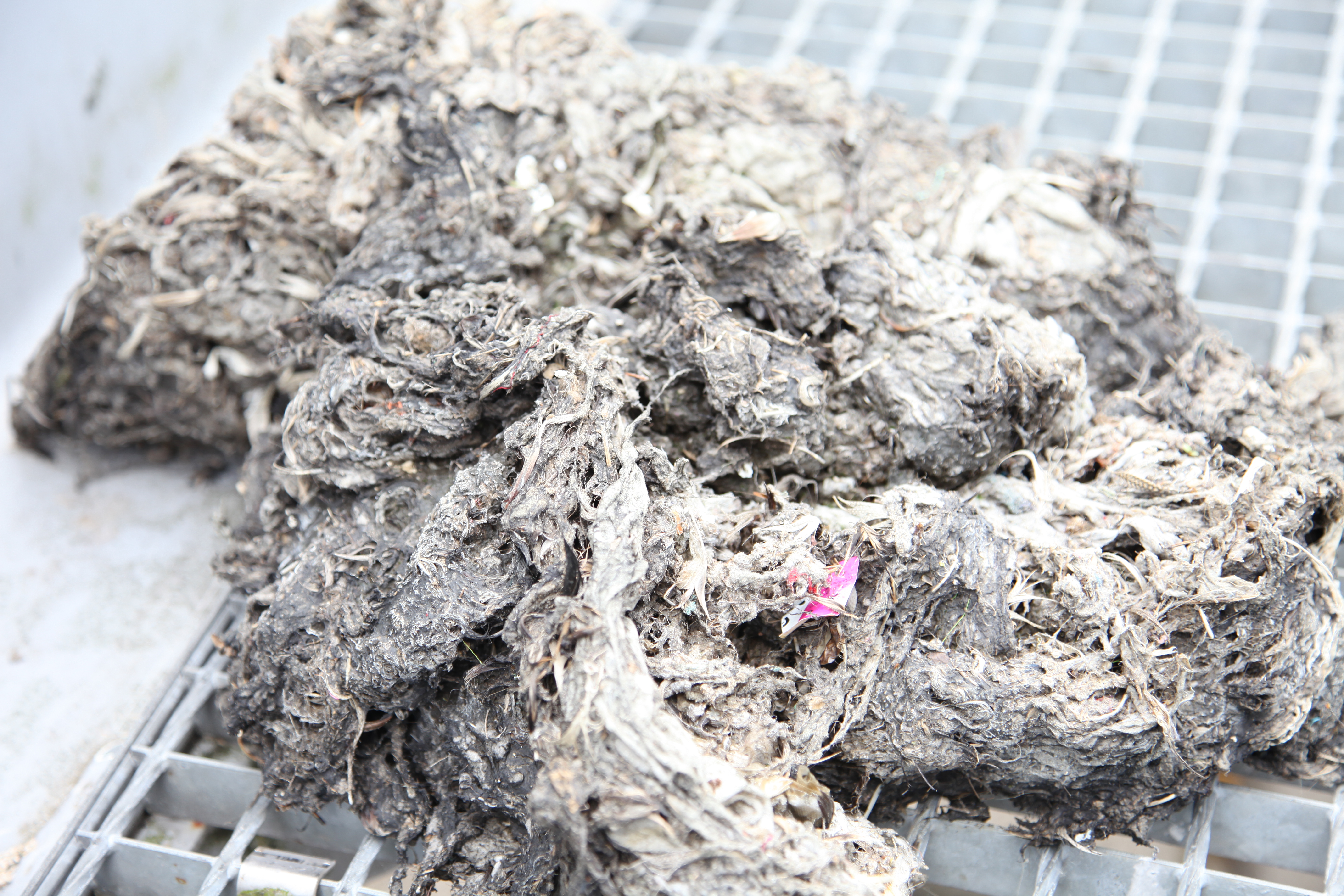 Kun 3 ting i toilettet