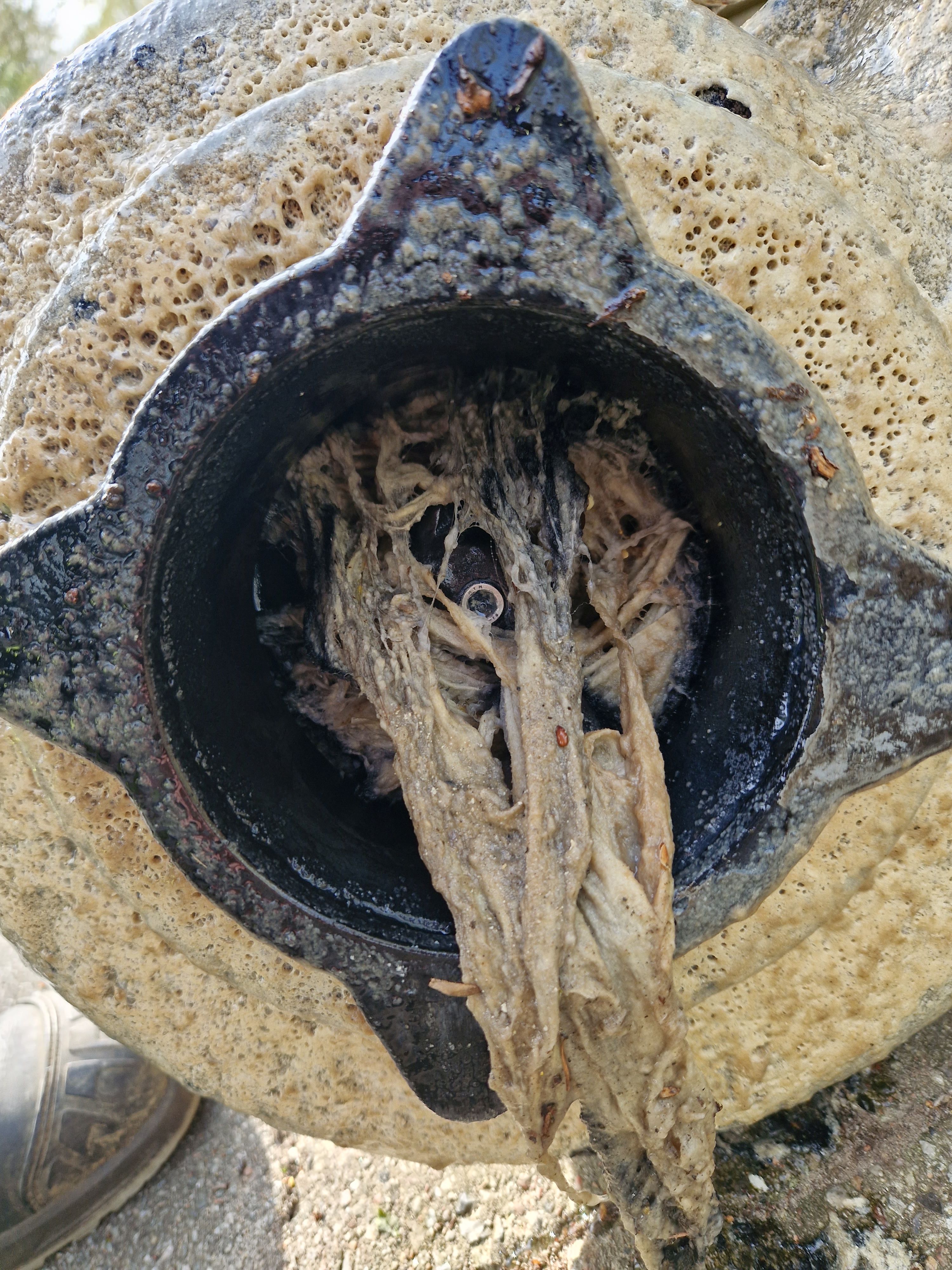 HAR DU NOGENSINDE SMIDT EN KLUD ELLER VÅDSERVIET I DIT TOILET?