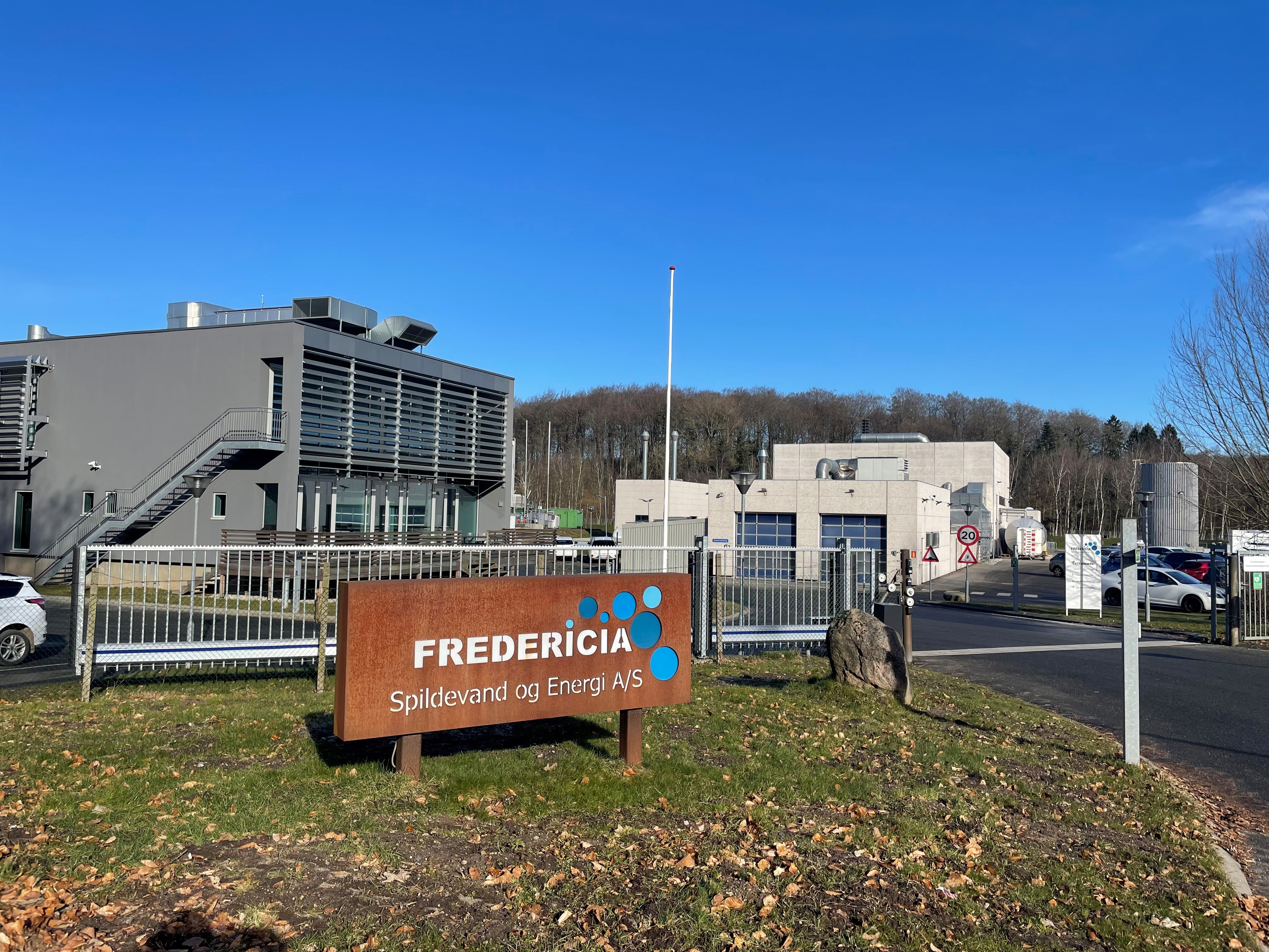 Organisation og bestyrelse