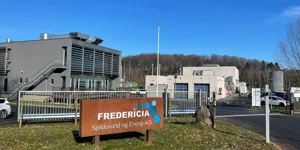 Organisation og bestyrelse