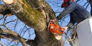 Stien mellem Røde Banke og Hannerup skov spærres