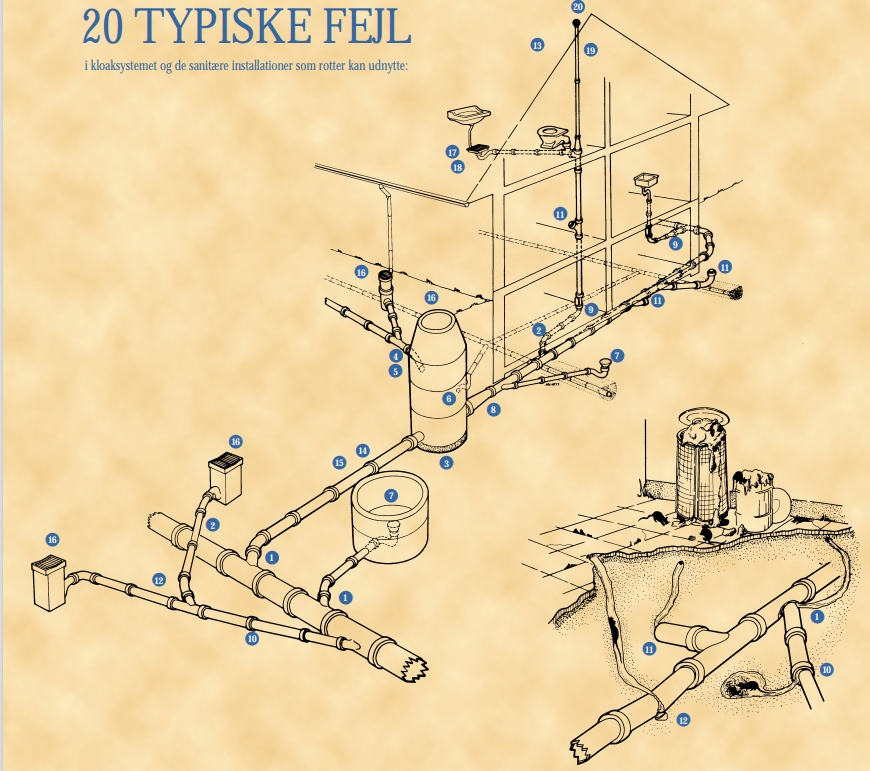 Miljøstyrelsens folder om kloakrotter