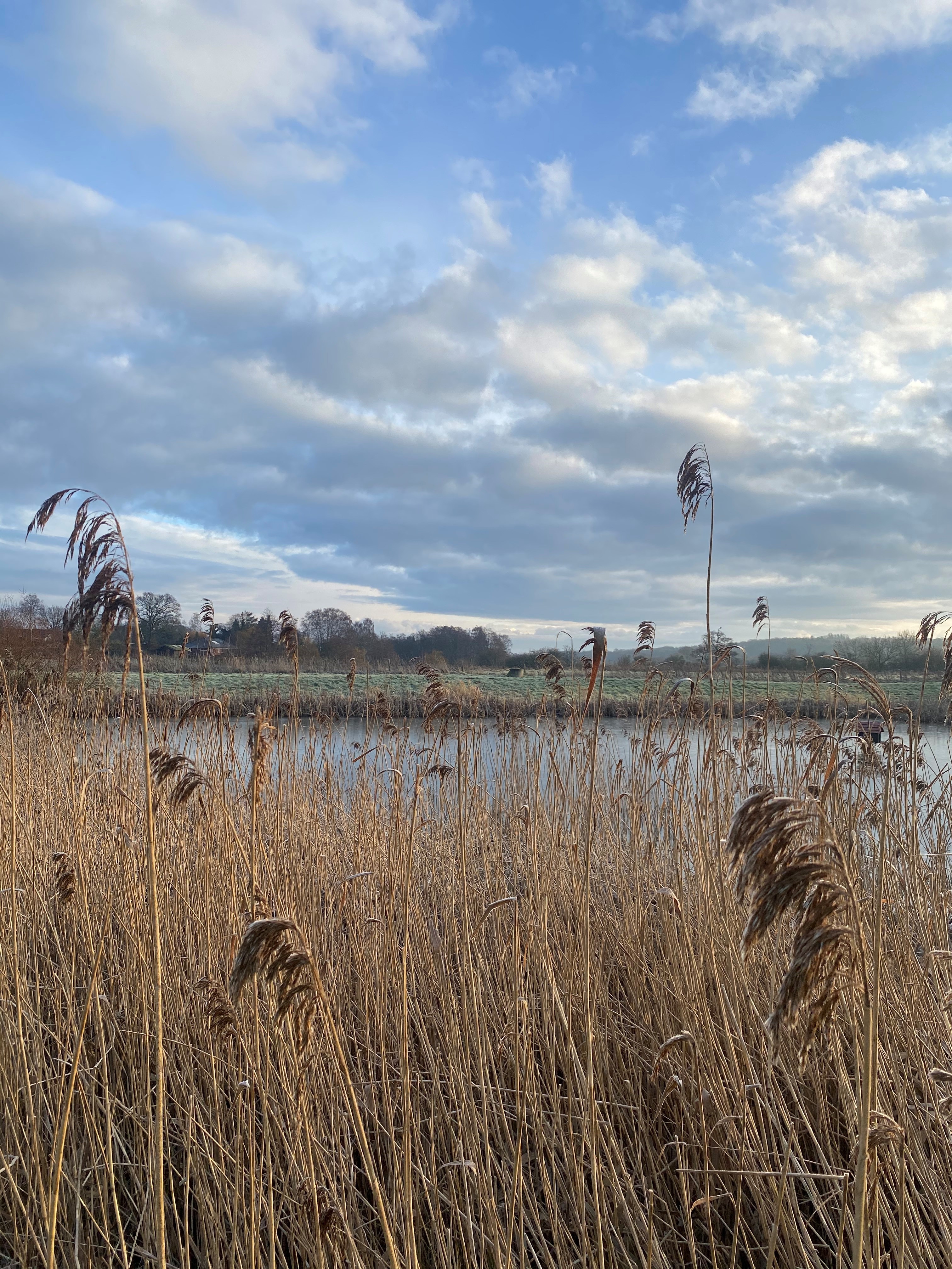 Oprensning af regnvandsbassin