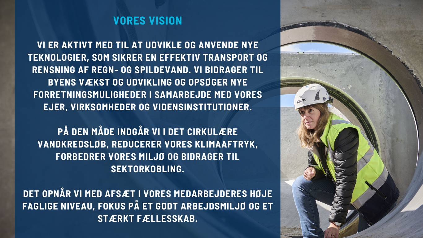 Vision NY (1)